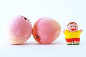 福岡の京風もつ鍋がおすすめです