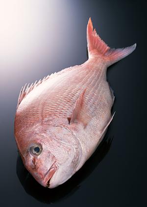 恵比寿シーシャ専門店で女子会ができる