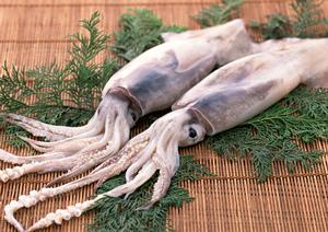 新宿サザンテラスのシェイクシャック – コミュニティに根ざした特別な場所