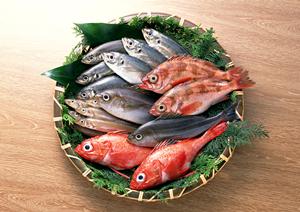 居酒家 土間土間 大宮東口店の魅力と詳細