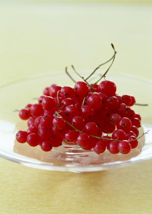 盛岡冷麺と韓国料理を極める：ぴょんぴょん舎 GINZA UNAの魅力と特徴