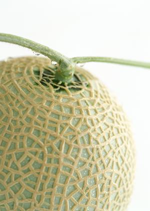 五島列島の五島うどんを販売するサイト