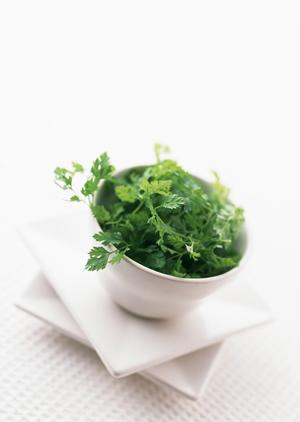 新橋で楽しむ！一人でも安心の居酒屋おすすめガイド