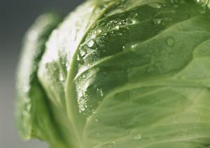 レストラン「かめ福オンプレイス」：ビュッフェと多彩なメニューを楽しめるお食事処の紹介